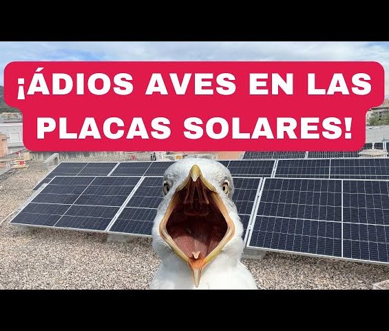 Aerotermia residencial, Paneles solares para casa, Energía eólica doméstica, Instalación de aerotermia, Sistemas fotovoltaicos residenciales, Energía renovable para hogares, Aerotermia vs geotermia, Precio paneles solares casa, Aerogeneradores residenciales, Sostenibilidad en el hogar, Baterías solares para casa, Energía limpia en casa, térmicas, empresa instaladora de suelo radiante, avería en suelo radiante, certificado eléctrico, subvenciones energías renovables. MERIDIONAL RENOVABLES, energías renovables, merece la pena instalar placas solares fotovoltaicas, cuánto cuesta instalar paneles solares en una casa, es rentable instalar placas solares en una casa, mantenimiento de placas solares en, contrato de mantenimiento de placas solares en, contrato de mantenimiento de aerotermia en, empresa de calefacción en Boadilla del Monte, empresa de calefacción en Majadahonda, empresa que instale suelo radiante en Boadilla del Monte, Hay subvenciones para instalar placas solares, hay ayudas para la instalación de energías renovables en la Comunidad de Madrid, Como puedo deducir IBI con energías renovables, empresa instalación de calefacción con suelo radiante, arreglo de avería de placas solares térmicas, mantenimiento de placas solares térmicas en Boadilla del Monte, empresa instaladora de energías renovables para autoconsumo en finca aislada, energía solar para finca aislada autoconsumo, empresa de electricidad para realizar instalación eléctrica acometida para autoconsumo, solución energética para finca asilada en, empresa instaladora de molinos de viento en, empresa instaladora autorizada para finca aislada con aerogeneradores eólicos, instalar molino de viento en finca, instalar energía eólica en finca en, mejores empresas de instalaciones de placas solares, masqenergía, másqenergía, más que energía, feníe energía, bajar mi factura de luz mejores compañías, mejores compañías para bajar la factura de gas, cómo bajar mi factura de gas, cómo bajar mi factura eléctrica, cómo bajar mi factura de luz, comercialización energética, empresa instaladora autorizada para certificados eléctricos, boletín eléctrico en, legalizar instalación solar, legalizar instalación de placas solares, subvención de placas solares en Boadilla del Monte, Calor, Climatización, Radiador, Termostato, Caldera, Sistema de calefacción, Eficiencia energética, Calefacción central, Estufa, Radiador eléctrico, Gas natural, Combustible, Calentador, Aislamiento térmico, Energía renovable, Control de temperatura, Suelo radiante, Emisor térmico, caldera de gas, avería en caldera de gas, empresa de avería de caldera de gas, avería en caldera eléctrica, reparación de calderas en Boadilla del Monte, reparación de calderas en Pozuelo de Alarcón, Reparación de calderas en Brunete, Reparación de caldera para calefacción con suelo randiante en, fancoils para refrigerar mi casa, instaladora de fancoils en local, instaladora de fancoils en Boadilla del Monte, empresa de climatización para instalar aire acondicionado en Boadilla del Monte, empresa instaladora de aire acondicionado por conductos en Boadilla del Monte, empresa instaladora de bomba de calor para local en Boadilla del Monte, instalador barato de aires acondicionados para comercio en Boadilla del Monte, instalador de aire acondicionado para local en, electricista barato para cambio de iluminación en local en Boadilla del Monte, Legalización de instalación eléctrica en Boadilla del Monte, Reducir gastos en local con energías renovables, empresa instaladora para proyecto industrial, avería en caldera industrial, posibles problemas con el inversor en mi instalación solar, proyecto para instalación de aerotermia, proyecto para calefacción, presupuesto para instalar placas solares en Boadilla del Monte, presupuesto para instalar aerotermia en un chalet en Boadilla del Monte, Aire, Ventilación, Sistema HVAC calefacción, ventilación y aire acondicionado, Control de temperatura, Termostato, Filtración de aire, Deshumidificación, Sistemas de aire centralizado, Climatización doméstica, Eficiencia energética, Dividir, Clima, Unidad de manejo de aire (AHU), Refrigerante, Sistemas de zonificación, Climatización industrial, Recuperación de calor, Calidad del aire interior (IAQ), instalación de conductos para aire acondicionado, instalación de conductos para bomba de calor, instalación de conductos para facoil, ventilación forzada, instaladora de ventilación forzada en vivienda, ventilación forzada para local en, cómo zonificar la calefacción de un local,  Sistemas de control inteligente, Paneles solares, Energía fotovoltaica, Solares de capitán,     Inversor solar, Sistema de energía solar, Soles Celdas, Energía renovable, Radiación solar, Efecto fotovoltaico, Conversión de energía solar, Batería solar, Carga solar, Instalación solar, Energía solar térmica, Seguimiento solar, Inclinación de paneles solares, Net meter, Energía solar de la energía, Energía solar, Balanza solar neto, cómo entender mi factura de luz, Almacenamiento de energía, Batería recargable, Batería solar, Sistema de almacenamiento solar, Litio-ion, Ciclo de carga y descarga, Capacidad de almacenamiento, Inversor, Descarga, Autosuficiencia energética, Sistema eléctrico, Batería de flujo, Celdas de batería, Eficiencia de la batería, Vida de la batería, Gestión de la batería, Sistema fuera de la red, Sistema híbrido solar, Batería de plomo-ácido, Monitorización de baterías, batería solares, almacenamiento solar con baterías, qué es el monedero solar, cómo compartir energía entre mis dos casas, cómo compartir la energía solar de mis casas,  se puede compartir la factura de electricidad en mis dos casas, contrato de mantenimiento placas solares en, contrato de mantenimiento de aerotermia y calefacción, empresas de mantenimiento en Boadilla del Monte, Reparación de calderas, Mantenimiento de calderas, Servicio técnico de calderas, Gas natural, Caldera de gas, Avería, Técnica de la calefacción, Seguridad en calderas, Purga de radiadores, Presión del sistema, Válvula de seguridad, Termostato de la caldera, Piloto de la caldera, Intercambiador de calor, Fugas de gas, Encendido electrónico, Quemador de la caldera, Válvula de gas, Revisión anual de la caldera, Normativas de seguridad, Energías renovables, Energía solar, Energía eólica, Energía hidroeléctrica, Energía geotérmica, Energía de biomasa, Energías de lamotriz, Paneles solares, Turbina eólica, Celdas fotovoltaicas, Biodiesel, Biogás, Geotermia de baja entalpía, Energía undimotriz, Microgeneración, Rojos (arredadas inteligentes), Almacenamiento de energía renovable, Eficiencia energética, Política energética sostenible, Energía eólica, Aerogenerador, Parque eólico, Generación eléctrica, Viento, Rotor, Palas del rotor, Torre de la turbina eólica, Eje horizontal, Eje vertical, Velocidad del viento, Aprovechamiento del viento, Potencia nominal, Redes de la eléctrica, Sistema de control de la turbina, Recurso eólico, Energía cinética del viento, Marina de Eólica (offshore), Impacto ambiental, acometida eléctrica, tener luz en finca aislada, Electricista, Instalación eléctrica, Cableado eléctrico, Interruptor, Enchufe, Circuito eléctrico, Cuadro eléctrico, Conexiones, Avería eléctrica, Seguridad eléctrica, Normativa eléctrica, Voltaje, Corriente., Resistencia eléctrica, Multímetro, Transformador, Tablero eléctrico, Iluminación eléctrica, Fusible, Certificación, Contrato de mantenimiento, Soles de Placas, Servicio de mantenimiento solar, Inspección periódica, Limpieza de Placas solares, Reparación placas solares, Eficiencia energética, Monitorización de instalación solar, aplicación de monitorización de instalación solar, Seguimiento de rendimiento de instalación solar, mantenimiento preventivo de instalación solar, mantenimiento correctivo de instalación solar, Optimización de instalación solar en, Diagnóstico de eficiencia solar, Renovación de contrato de mantenimiento en, empresas instaladoras de la Comunidad de Madrid, , ANTI AVES, Protección anti aves para energía solar, Soluciones anti pájaros para placas solares, Barreras contra aves en instalaciones solares, Dispositivos disuasorios de aves para paneles solares, Prevención de daños por aves en módulos solares, Protección aviar para sistemas fotovoltaicos, Redes anti aves para instalaciones de energía solar, Métodos para evitar anidación de aves en paneles solares, Seguridad aviar en plantas solares, Herramientas para proteger paneles solares de aves. Rejilla antiaves, Protección contra pájaros, Dispositivos disuasorios para aves, Redes antiaves, Soluciones para evitar daños por aves, Seguridad para paneles solares, Prevención de anidación de aves, Barreras físicas contra aves, Sistemas de protección de placas solares, Instalación de protección para paneles solares, Instalación de protección para placas solares, Instalación de protección para módulos solares, Instalación de protección para instalaciones solares. Paneles solares fotovoltaicos, Palabras clave para búsqueda de soluciones contra nidos de aves en placas solares:, Rejillas anti aves:, Rejillas anti pájaros para placas solares, Mallas de protección para placas solares, Peines de alero para paneles solares, BirdBlocker, Gel AviFin, Pinchos antipalomas, Nidos:, Cómo evitar que las palomas aniden en placas solares, Eliminar nidos de palomas en placas solares, Proteger paneles solares de palomas, Ahuyentar palomas de placas solares, Tejado:, Protección contra aves en tejados, Control de aves en tejados con placas solares, Cómo evitar que las aves aniden en el tejado, Soluciones para nidos de palomas en tejados, Daños:, Daños en placas solares por palomas, Excrementos de palomas en placas solares, Corrosión de paneles solares por palomas, Mantenimiento de placas solares por excrementos de aves, Preguntas usuales para búsqueda de soluciones:, ¿Qué tipo de rejilla anti aves es la mejor para placas solares?, ¿Cómo instalar una rejilla anti aves en placas solares?, ¿Dónde puedo comprar mallas de protección para placas solares?, ¿Qué métodos existen para eliminar nidos de palomas en placas solares?, ¿Cómo puedo evitar que las palomas dañen mis paneles solares?, ¿Existen ahuyentadores de palomas efectivos para placas solares?, ¿Qué debo hacer si encuentro un nido de palomas en mi tejado?, ¿Cómo puedo limpiar los excrementos de palomas de mis placas solares?, ¿Qué medidas puedo tomar para evitar que las aves aniden en mi tejado?, Recursos adicionales:, Control de Aves en Paneles Solares y Fotovoltaicos, , Energía solar limpia, Sistemas fotovoltaicos residenciales, Instalación de energía solar, Beneficios de la energía solar fotovoltaica, Tecnología fotovoltaica, Eficiencia energética solar, Costos de instalación de energía solar, Impacto ambiental de la energía solar fotovoltaica, Subsidios y incentivos para la energía solar. rejillas anti aves para placas solares":, Redes anti pájaros para paneles solares, Mallas protectoras para instalaciones fotovoltaicas, Barreras físicas contra aves para sistemas solares, Dispositivos de exclusión de aves para placas solares, Sistemas de prevención de nidos de aves en paneles fotovoltaicos, Formas alternativas de decir "nidos":, Moradas de aves, Habitáculos de palomas, Construcciones para la incubación, Estructuras para la cría, Refugios para aves, Formas alternativas de decir "tejado":, Cubierta de la casa, Techumbre, Azotea, Superficie superior del edificio, Techo, Formas alternativas de decir "daños", Deterioro, Perjuicio, Deterioro, Avería, Desgaste, Formas alternativas de decir "excrementos":, Deposiciones, Heces, Estiércol, Guano, Desechos, Ejemplos de preguntas usando las palabras alternativas:, ¿Qué tipo de redes anti pájaros son más efectivas para proteger mis paneles solares?, ¿Cómo puedo instalar una barrera física contra aves en mi sistema solar sin dañar la instalación?, ¿Dónde puedo comprar mallas protectoras para evitar que las palomas construyan moradas en mis placas fotovoltaicas?, ¿Qué métodos existen para eliminar de forma segura los nidos de palomas de mi techo?, ¿Cómo puedo evitar que las aves causen deterioro a mi tejado y a mis paneles solares?, ¿Existen ahuyentadores de aves que sean realmente eficientes para proteger las instalaciones fotovoltaicas?, ¿Qué debo hacer si encuentro una morada de palomas en la cubierta de mi casa?, ¿Cómo puedo limpiar las deposiciones de palomas de mis paneles solares sin dañarlos?, ¿Qué medidas puedo tomar para prevenir que las aves construyan refugios en mi azotea?, , FINCA AISLADA, Energía solar: Instalación de paneles solares para generar electricidad a partir de la luz solar., Generador diésel: Uso de un generador diésel como fuente de energía auxiliar en caso de baja producción solar., Aerogeneradores: Implementación de turbinas eólicas para aprovechar la energía del viento y generar electricidad., Baterías: Almacenamiento de energía mediante baterías para utilizarla cuando no haya disponibilidad de energía solar o eólica., Inversores: Dispositivos que convierten la corriente continua generada por paneles solares o turbinas eólicas en corriente alterna utilizable en los dispositivos eléctricos., Eficiencia energética: Adoptar medidas para reducir el consumo de energía, como el uso de electrodomésticos de bajo consumo y sistemas de iluminación eficientes., Energía hidráulica: Si hay un curso de agua cercano, se puede considerar la instalación de un pequeño sistema hidroeléctrico para generar electricidad., Energía geotérmica: Explorar la posibilidad de aprovechar el calor del subsuelo para generar electricidad mediante sistemas geotérmicos., Energía de biomasa: Utilizar biomasa como residuos agrícolas o forestales para generar electricidad mediante la combustión controlada., Energía cinética: Emplear dispositivos como sistemas de captura de movimiento o pequeñas turbinas en corrientes de agua para generar electricidad a partir del movimiento., , BARD REPARACIÓN CALDERAS, Reparación de calderas, Servicio técnico de calderas, Calderas averiadas, Arreglo de calderas, Mantenimiento de calderas, Revisión de calderas, Instalación de calderas, Calderas, Calefacción, Agua caliente, Reparación de calderas de gas, Reparación de calderas eléctricas, Reparación de calderas de gasoil, Reparación de calderas de biomasa, Reparación de calderas murales, Reparación de calderas de pie, Reparación de calderas estancas, Reparación de calderas atmosféricas, Reparación de calderas de condensación, Reparación de termos, Reparación de calentadores de agua, Reparación de calderas urgente, Reparación de calderas 24 horas, Reparación de calderas económica, Reparación de calderas de bajo coste, Reparación de calderas de todas las marcas, Reparación de calderas en Madrid, Código de error caldera, Fugas de gas, Calderas seguras, Eficiencia energética, Ahorro de energía, Imagen de una caldera, Imagen de un técnico reparando una caldera, Imagen de una fuga de gas, Imagen de una caldera segura, Imagen de una caldera eficiente, , AEROTERMIA, 616283686 Aerotermia, Bomba de calor, Calefacción, Refrigeración, Agua caliente sanitaria (ACS), Eficiencia energética, Energías renovables, Sostenibilidad, Ecología, Medio ambiente, Tipos de bombas de calor:, Bomba de calor aire-aire, Bomba de calor aire-agua, Bomba de calor geotérmica, Componentes de la bomba de calor:, Unidad exterior, Unidad interior, Evaporador, Condensador, Compresor, Refrigerante, Palabras clave relacionadas con la eficiencia:, SCOP (Coeficiente de rendimiento estacional en calefacción), SEER (Coeficiente de rendimiento estacional en refrigeración), COP (Coeficiente de rendimiento), EER (Ratio de eficiencia energética), Eficiencia energética A+++, Marcas de bombas de calor:, Daikin, Mitsubishi Electric, Vaillant, Panasonic, Wolf, Viessmann, Saunier Duval, Otros términos relevantes:, Suelo radiante, Fancoils, Aerotermia vs. gasoil, Aerotermia vs. caldera eléctrica, Instalación de aerotermia, Subvenciones para aerotermia, Instalación de bomba de calor, instalación de aerotermia, reparación de bomba de calor, mantenimiento de bomba de calor en Boadilla del Monte, instalación de suelo radiante, instalación de aerotermia para suelo radiante, instalación de aerotermia para radiadores, instalación de aerotermia para radiadores, instalación de bomba de calor para suelo radiante, instalación de bomba de calor para fancoils, instalación de bomba de calor para radiadores, Boadilla del Monte, Villanueva de La Cañada, Brunete, Villaviciosa de Odón, Navalcarnero, Villanueva del Pardillo, Torrelodones, Majadahonda, Las Rozas de Madrid, Pozuelo de Alarcón, Galapagar, Colmenarejo, Las Matas, Quijorna, Sevilla la Nueva, Villanueva de Perales, Villamantilla, Villamanta, Aldea Del Fresno, San Lorenzo del Escorial, El Escorial, Valdemorillo, Móstoles, Arroyomolinos, Alcorcón,  Villafranca del Castillo, La finca, La Moraleja, Aravaca, BARD BIOMASA, Biomasa, Materia orgánica, Combustible renovable, Energía verde, Sostenibilidad, Ciclo de vida, Reducción de emisiones, Neutralidad de carbono, Tipos de biomasa:, Biomasa residual: , Residuos forestales, Residuos agrícolas, Residuos ganaderos, Residuos urbanos, Cultivos energéticos: , Algas, Miscanthus, Jatropha, Eucalipto, Biocombustibles: , Biodiesel, Bioetanol, Biogás, Pellets, Aplicaciones de la biomasa:, Generación de calor: , Calefacción, Agua caliente sanitaria, Procesos industriales, Generación de electricidad: , Centrales térmicas, Cogeneración, Transporte: , Biocombustibles, Vehículos eléctricos, Organizaciones e iniciativas:, Agencia Internacional de la Energía (AIE), Organización de las Naciones Unidas para la Alimentación y la Agricultura (FAO), Consejo Europeo de Biocombustibles (CEB), Plataforma Tecnológica Española de Biomasa (Bioplat), Palabras clave adicionales:, Eficiencia energética, Bioeconomía, Cambio climático, Desarrollo rural, Seguridad energética biomasa pellets:, General:, Combustible renovable, Energía verde, Sostenibilidad, Calefacción, Eficiencia energética, Reducción de emisiones, Tipos de pellets de biomasa:, Pellets de madera: , Pino, Abeto, Haya, Eucalipto, Pellets agrícolas: , Paja, Cascarilla de arroz, Huesos de aceituna, Pellets industriales: , Papel, Cartón, Serrín, Preguntas frecuentes sobre pellets de biomasa:, ¿Qué son los pellets de biomasa?, Los pellets de biomasa son un tipo de combustible sólido que se produce a partir de biomasa residual, como la madera, los residuos agrícolas o los residuos industriales. Los pellets se comprimen en pequeñas unidades cilíndricas que son fáciles de transportar y almacenar., ¿Cuáles son las ventajas de utilizar pellets de biomasa?, Los pellets de biomasa son una fuente de energía renovable y sostenible. Son neutros en carbono, lo que significa que no liberan a la atmósfera más CO2 del que absorben las plantas durante su crecimiento. Los pellets de biomasa también son una fuente de energía eficiente, con un alto poder calorífico y bajas emisiones., ¿Cuáles son las desventajas de utilizar pellets de biomasa?, Los pellets de biomasa pueden ser más caros que otros combustibles, como el gas natural o el propano. También requieren de un almacenamiento adecuado y de una estufa o caldera específica para su uso., ¿Dónde puedo comprar pellets de biomasa?, Los pellets de biomasa se pueden comprar en tiendas especializadas en energía renovable, en viveros y en algunos grandes almacenes., Biomasa pellets: Una alternativa sostenible para la calefacción, ¿Qué son los pellets de biomasa?, Los pellets de biomasa son un tipo de combustible sólido biogénico que se produce a partir de la compactación de biomasa residual, como la madera, los residuos agrícolas o los residuos industriales. Se presentan en forma de pequeñas unidades cilíndricas de 6 a 10 mm de diámetro y 10 a 30 mm de longitud, con un alto poder calorífico y bajas emisiones., Ventajas de usar pellets de biomasa:, Energía renovable y sostenible: Los pellets de biomasa provienen de fuentes renovables, como la madera de bosques gestionados de forma sostenible o residuos agrícolas. Al quemarse, liberan CO2 que ya estaba presente en la atmósfera, lo que los hace neutros en carbono., Eficiencia energética: Los pellets de biomasa tienen un alto poder calorífico, lo que significa que producen más energía por unidad de masa que otros combustibles como el gas natural o el propano. Además, las calderas y estufas de pellets de biomasa tienen un alto rendimiento, lo que se traduce en un menor consumo de combustible., Reducción de emisiones: Los pellets de biomasa emiten menos contaminantes que otros combustibles fósiles, como el carbón o el petróleo. Esto contribuye a mejorar la calidad del aire y a proteger el medio ambiente., Independencia energética: El uso de pellets de biomasa reduce la dependencia de los combustibles fósiles importados, lo que puede aumentar la seguridad energética de un país o región., Creación de empleo: La producción y el uso de pellets de biomasa generan empleo en las zonas rurales, donde se encuentran los recursos necesarios para su producción., Desventajas de usar pellets de biomasa:, Costo: El precio de los pellets de biomasa puede ser más alto que el de otros combustibles, como el gas natural o el propano. Sin embargo, este costo puede verse compensado por la mayor eficiencia energética de las calderas y estufas de pellets., Almacenamiento: Los pellets de biomasa requieren de un espacio de almacenamiento adecuado para mantener su calidad., Disponibilidad: La disponibilidad de pellets de biomasa puede variar según la región., Preguntas frecuentes sobre pellets de biomasa:, ¿Dónde puedo comprar pellets de biomasa?, Los pellets de biomasa se pueden comprar en tiendas especializadas en energía renovable, en viveros y en algunos grandes almacenes. También se pueden comprar online., ¿Qué tipo de estufa o caldera necesito para usar pellets de biomasa?, Existen estufas y calderas específicas para pellets de biomasa. Es importante elegir una estufa o caldera que sea compatible con el tipo de pellets que se va a utilizar., ¿Cómo se usan los pellets de biomasa?, Los pellets de biomasa se utilizan en estufas y calderas para generar calor. Las estufas de pellets de biomasa son ideales para calentar estancias pequeñas, mientras que las calderas de pellets de biomasa se pueden utilizar para calentar toda la casa., ¿Qué mantenimiento requieren las estufas y calderas de pellets de biomasa?, Las estufas y calderas de pellets de biomasa requieren un mantenimiento regular para garantizar su correcto funcionamiento. Este mantenimiento incluye la limpieza de la estufa o caldera, el vaciado del cenicero y la revisión de los componentes., Calefacción por biomasa pellets, Instalación de calefacción por pellets, Precio de calefacción por pellets, Ventajas de la calefacción por pellets, Desventajas de la calefacción por pellets, Opiniones sobre la calefacción por pellets, Estufas de pellets, Calderas de pellets, Marcas de pellets, Subvenciones para calefacción por pellets, Presupuesto y empresas instaladoras:, Presupuesto para instalar calefacción por pellets, Empresas instaladoras de calefacción por pellets, Pedir presupuesto para calefacción por pellets, Comparar precios de instalación de calefacción por pellets, Mejor empresa instaladora de calefacción por pellets, Mantenimiento y averías:, Mantenimiento de la calefacción por pellets, Averías de la calefacción por pellets, Limpieza de la estufa de pellets, Reparación de la caldera de pellets, Servicio técnico de calefacción por pellets, Combustible:, Precio de los pellets, Tipos de pellets, Comprar pellets online, Tiendas de pellets, Consejos para comprar pellets, Foros y comunidades:, Foros de calefacción por pellets, Comunidades de usuarios de pellets, Experiencias con la calefacción por pellets, Preguntas y respuestas sobre la calefacción por pellets, Calefacción por biomasa, Energía renovable, Eficiencia energética, Calefacción ecológica, Sostenibilidad, Consejos para buscar en Google:, Utiliza palabras clave específicas., Añade tu ubicación a la búsqueda., Utiliza filtros para refinar los resultados., Lee las opiniones de otros usuarios., Compara precios y presupuestos., Contacta con empresas instaladoras para obtener más información., Google, Instalación, reparación y mantenimiento de estufas y calderas de biomasa pellets:, Instalación de estufa/caldera de biomasa pellets, Reparación de estufa/caldera de biomasa pellets, Mantenimiento de estufa/caldera de biomasa pellets, Estufas de biomasa pellets, Calderas de biomasa pellets, Servicio técnico de biomasa pellets, Precio instalación estufa/caldera pellets, Presupuesto reparación estufa/caldera pellets, Mantenimiento anual estufa/caldera pellets, Comunidad de Madrid:, Instalación estufa/caldera pellets Madrid, Reparación estufa/caldera pellets Madrid, Mantenimiento estufa/caldera pellets Madrid, Empresas instaladoras de biomasa pellets Madrid, Servicio técnico biomasa pellets Madrid, Subvenciones calefacción por pellets Madrid, Ayudas instalación estufa/caldera pellets Madrid, España:, Instalación estufa/caldera pellets España, Reparación estufa/caldera pellets España, Mantenimiento estufa/caldera pellets España, Empresas instaladoras de biomasa pellets España, Servicio técnico biomasa pellets España, Subvenciones calefacción por pellets España, Ayudas instalación estufa/caldera pellets España, Subvenciones y ayudas:, Subvenciones para biomasa pellets, Ayudas para calefacción por pellets, Plan renove calefacción, IDAE biomasa pellets, Ministerio para la Transición Ecológica, Comunidad de Madrid subvenciones energía, Comunidad de usuarios:, Foro de biomasa pellets, Asociación Española de Biomasa, Experiencias con calefacción por pellets, Opiniones sobre estufas/calderas de pellets, Palabras clave:, Biomasa, Pellets, Calefacción, Estufa, Caldera, Eficiencia energética, Energía renovable, Sostenibilidad, Viessmann, Buderus, Vaillant, Ferrolli, Mitsubishi, Enplus, Dinplus, FSC, PERC, , Pellets en saco, Comprar pellets, Venta de pellets, Precio pellets, Tipos de pellets, Certificación pellets, Calefacción por pellets, Estufas de pellets, Calderas de pellets, Especificando el tipo de pellet:, Pellets de madera, Pellets de pino, Pellets de haya, Pellets de encina, Pellets de olivo, Pellets agrícolas, Pellets industriales, Especificando el tamaño del saco:, Pellets en saco de 15 kg, Pellets en saco de 20 kg, Pellets en saco de 25 kg, Pellets en big bag, Especificando la ubicación:, Pellets en Madrid, Enplus, DinPlus, Pellet Asturias, Hidro Pellet, Bioenergy by Naturpellet, Saco de Pellet con certificicado Enplus A1, Asta, Asta Premium, Precios de saco de pellet, Biomasa Córdoba, PelletSolution, NatureSOLUTION, Nature Energy Europe, Combustible Ecoforest, , aerotermia madrid, aerotermia en madrid, ayudas aerotermia madrid, aerotermia comunidad de madrid, reparación de calderas boadilla del monte, instalador módulos solares en villaviciosa de odón, instalador de aerotermia en boadilla del monte, instalador de aerogenerador molino viento, electricista, aerotermia residencial, paneles solares para casa, energía eólica doméstica, instalación de aerotermia, sistemas fotovoltaicos residenciales, energía renovable para hogares, aerotermia geotermia, baterías solares para casa, energía limpia en casa, calefacción con aerotermia, inversores solares para viviendas, Boadilla del Monte, Villanueva de La Cañada, Brunete, Villaviciosa de Odón, Navalcarnero, Villanueva del Pardillo, Torrelodones, Majadahonda, Las Rozas de Madrid, Pozuelo de Alarcón, Galapagar, Colmenarejo, Las Matas, Quijorna, Sevilla la Nueva, Villanueva de Perales, Villamantilla, Villamanta, Aldea Del Fresno, San Lorenzo del Escorial, El Escorial, Valdemorillo, Móstoles, Arroyomolinos, Alcorcón,  Villafranca del Castillo, La finca, La Moraleja, Aravaca, aerotermia madrid, aerotermia en madrid, ayudas aerotermia madrid, aerotermia comunidad de madrid, reparación de calderas boadilla del monte, instalador módulos solares en villaviciosa de odón, instalador de aerotermia en boadilla del monte, instalador de aerogenerador molino viento, electricista, aerotermia residencial, paneles solares para casa, energía eólica doméstica, instalación de aerotermia, sistemas fotovoltaicos residenciales, energía renovable para hogares, aerotermia geotermia, baterías solares para casa, energía limpia en casa, calefacción con aerotermia, inversores solares para viviendas, , CÓDIGO HTML DE CABECERA WEB, EÓLICA, instalador de aerogenerador molino viento, , BATERÍAS SOLARES, Baterías de almacenamiento solar, Almacenamiento de energía solar, Baterías para energía solar, Sistemas de almacenamiento solar, Tecnología de almacenamiento solar, Tipos de baterías para almacenamiento solar (litio, plomo-ácido, etc.), Capacidad de almacenamiento (kWh), Eficiencia de las baterías, Vida útil de las baterías, Coste de las baterías, Instalación de baterías, Marcas de baterías (Tesla Powerwall, LG Chem, Sonnen, etc.), Aplicaciones de las baterías (residencial, comercial, industrial), Incentivos para el almacenamiento solar, Regulaciones para el almacenamiento solar, Investigación y desarrollo de nuevas tecnologías de almacenamiento, Baterías de almacenamiento solar precio, Mejor batería de almacenamiento solar para casa, Comparar baterías de almacenamiento solar, Opiniones sobre baterías de almacenamiento solar, Subvenciones para almacenamiento solar en España, Instaladores de baterías de almacenamiento solar en Madrid, Cómo funciona el almacenamiento de energía solar, Ventajas y desventajas de las baterías solares, Futuro del almacenamiento de energía solar, aterías de almacenamiento solar, Almacenamiento de energía solar, Baterías para energía solar, Sistemas de almacenamiento solar, Baterías solares para casa, Almacenamiento solar doméstico, Baterías para paneles solares, Precio baterías almacenamiento solar, Tipos de baterías almacenamiento solar, Mejor batería almacenamiento solar, Comprar batería almacenamiento solar, Comprar batería solar para casa, Precio instalación batería solar, Coste batería almacenamiento solar, Comprar batería solar online, Tiendas de baterías solares, Tipos de baterías solares, merece la pena poner baterías solares en mi instalación de energía solar, Baterías de litio para almacenamiento solar, Baterías plomo ácido para almacenamiento solar, Baterías de flujo para almacenamiento solar, Baterías de estado sólido para almacenamiento solar, Información técnica batería solar , Capacidad batería almacenamiento solar, Vida útil batería almacenamiento solar, Eficiencia batería almacenamiento solar, Potencia batería almacenamiento solar, Ciclos de carga batería almacenamiento solar, Marcas de baterías solares , Baterías Tesla Powerwall, Baterías LG Chem RESU, Baterías Sonnenbatterie, Baterías BYD B-Box, Baterías Pylontech US3000C, Baterías almacenamiento solar Madrid, Instaladores de baterías solares Madrid, Precio baterías almacenamiento solar Boadilla del Monte, Subvenciones baterías solares Madrid, Es conveniente instalar baterías solares en una instalación solar de una casa?,  Baterías almacenamiento solar para autoconsumo , Baterías solares para casas sin red eléctrica, Baterías solares para apagones, Baterías almacenamiento solar para empresas , Baterías solares para industria, Baterías solares para comercio, Compra e instalación, ¿Cuánto cuesta una batería solar para casa?, ¿Dónde puedo comprar una batería solar?, ¿Qué necesito para instalar una batería solar?, ¿Cuánto cuesta instalar una batería solar?, ¿Qué empresas instalan baterías solares?, Tipos de baterías solares, ¿Qué tipos de baterías solares hay?, ¿Cuál es la mejor batería solar para mi casa?, ¿Qué diferencia hay entre baterías de litio y plomo ácido?, ¿Qué son las baterías de estado sólido?, Funcionamiento y mantenimiento de las baterías solares, ¿Cómo funciona una batería solar?, ¿Qué mantenimiento necesita una batería solar?, ¿Cuánto dura una batería solar?, ¿Qué es la profundidad de descarga de una batería solar?, ¿Cómo puedo optimizar el rendimiento de mi batería solar?, Beneficios y desventajas de las baterías solares, ¿Cuáles son los beneficios de tener una batería solar?, ¿Cuáles son las desventajas de tener una batería solar?, ¿Es rentable una batería solar?, ¿Qué impacto tiene una batería solar en el medio ambiente?, Subvenciones y ayudas para baterías solares almacenamiento, ¿Hay subvenciones para comprar una batería solar?, ¿A qué ayudas puedo optar para instalar una batería solar?, ¿Cómo puedo solicitar una subvención para una batería solar?, ¿Qué batería solar es compatible con mis paneles solares?, ¿Puedo usar una batería solar para alimentar mi casa durante un apagón?, ¿Cómo puedo monitorizar el rendimiento de mi batería solar?, ¿Qué debo hacer si mi batería solar no funciona correctamente?, , , instalaciones energéticas, servicios de aerotermia y solar térmica, instalaciones energéticas, servicios de aerotermia y solar térmica, , , , , , , , , , REJILLA ANTIAVES, MERIDIONAL RENOVABLES: 616283686 EMPRESA INSTALADORA y MANTENEDORA , Proporcionamos a nuestros clientes soluciones y mejoras para protección y mantenimientos de su instalación solar. Sus placas solares en perfecto estado y máximo rendimiento. Rejilla antiaves, Protección contra pájaros, Dispositivos disuasorios para aves, Redes antiaves, Soluciones para evitar daños por aves, Seguridad para paneles solares, Prevención de anidación de aves, Barreras físicas contra aves, Sistemas de protección de placas solares, Instalación de protección para paneles solares, Instalación de protección para placas solares, Instalación de protección para módulos solares, Instalación de protección para instalaciones solares. Limpieza de paneles solares, Mantenimiento de sistemas solares, Servicios de limpieza solar, Programas de mantenimiento fotovoltaico, Inspección de instalaciones solares, Limpieza y mantenimiento de plantas solares, Procedimientos de limpieza para paneles solares, Programas de mantenimiento preventivo solar, Herramientas y equipos para limpieza solar, Gestión de residuos en la limpieza de instalaciones solares, Bird blocker:, Bloqueador de aves, Rejilla antipájaros, Red antipájaros, Púas antipalomas, Barrera antiaves, Ahuyentador de aves, Rejilla antipájaros:, Rejilla antipájaros para placas solares, Malla antipájaros para tejados, Red antipájaros para árboles frutales, Rejilla metálica antipájaros, Malla de plástico antipájaros, Barrera exclusión palomas, Barrera antipalomas para balcones, Red antipalomas para ventanas, Púas antipalomas para techos, Gel antipalomas, Sistema de exclusión de palomas, Protección antiaves en placas solares:, Protección antiaves para paneles solares, Mallas de protección para placas solares, Peines BirdBlocker, Sistemas antiaves para energías renovables, Barreras antiaves para instalaciones fotovoltaicas, Palabras clave adicionales:, Control de aves, Eliminación de aves, Prevención de daños por aves, Soluciones antiaves, Productos antiaves, Ejemplo de frase de búsqueda:, Comprar rejilla antipájaros para placas solares en Madrid, Bloqueador de aves:, ¿Cómo eliminar las aves de mi casa/jardín?, ¿Qué es un bloqueador de aves?, ¿Dónde comprar un bloqueador de aves?, ¿Tipos de bloqueadores de aves?, ¿Cómo instalar un bloqueador de aves?, ¿Los bloqueadores de aves son dañinos para las aves?, Mejores bloqueadores de aves del mercado, Bloqueadores de aves para balcones, Bloqueadores de aves para techos, Bloqueadores de aves para árboles, Rejilla antipájaros:, ¿Para qué sirve una rejilla antipájaros?, ¿Dónde comprar una rejilla antipájaros?, ¿Cómo instalar una rejilla antipájaros?, Tipos de rejillas antipájaros, Precio de rejillas antipájaros, Rejillas antipájaros para chimeneas, Rejillas antipájaros para tejados, Rejillas antipájaros para árboles frutales, Rejillas antipájaros para huertos, Barrera de exclusión para palomas:, ¿Cómo eliminar las palomas de mi casa/edificio?, ¿Qué es una barrera de exclusión para palomas?, ¿Dónde comprar una barrera de exclusión para palomas?, ¿Cómo instalar una barrera de exclusión para palomas?, Tipos de barreras de exclusión para palomas, Precio de las barreras de exclusión para palomas, Barreras de exclusión para palomas en edificios, Barreras de exclusión para palomas en balcones, Barreras de exclusión para palomas en ventanas, Protección antiaves en placas solares:, ¿Cómo proteger las placas solares de las aves?, ¿Qué es la protección antiaves para placas solares?, ¿Dónde comprar protección antiaves para placas solares?, ¿Cómo instalar protección antiaves para placas solares?, Tipos de protección antiaves para placas solares, Precio de la protección antiaves para placas solares, Mejores sistemas de protección antiaves para placas solares, Mantenimiento de la protección antiaves para placas solares, Protección antiaves en energías renovables:, ¿Cómo proteger las instalaciones de energías renovables de las aves?, ¿Qué tipos de protección antiaves hay para energías renovables?, ¿Dónde comprar protección antiaves para energías renovables?, ¿Cómo instalar protección antiaves para energías renovables?, Precio de la protección antiaves para energías renovables, Mantenimiento de la protección antiaves para energías renovables, Legislación sobre protección antiaves en energías renovables, Otras frases:, Eliminar excrementos de aves, Ahuyentar aves, Control de plagas de aves, Productos antiplagas para aves, Empresas de control de aves, , LOCALIDADES, Boadilla del Monte, Villanueva de La Cañada, Brunete, Villaviciosa de Odón, Navalcarnero, Villanueva del Pardillo, Torrelodones, Majadahonda, Las Rozas de Madrid, Pozuelo de Alarcón, Galapagar, Colmenarejo, Las Matas, Quijorna, Sevilla la Nueva, Villanueva de Perales, Villamantilla, Villamanta, Aldea Del Fresno, San Lorenzo del Escorial, El Escorial, Valdemorillo, Móstoles, Arroyomolinos, Alcorcón, Villafranca del Castillo, La finca, La Moraleja, Aravaca,, , ENERGÍA SOLAR FOTOVOLTAICA, Energía solar fotovoltaica, Placas solares, Paneles solares, Módulos solares, Instalación de placas solares, Precio de placas solares, Beneficios de la energía solar, Mantenimiento de placas solares, Subvenciones para energía solar, Componentes de un sistema solar fotovoltaico, Eficiencia de las placas solares, Tipos de placas solares, Marcas de placas solares, Cómo funciona la energía solar, Autoconsumo energético, Huella de carbono de la energía solar, Para empresas:, Energía solar para empresas, Soluciones fotovoltaicas para empresas, Autoconsumo industrial, Financiación de proyectos fotovoltaicos, Empresas instaladoras de placas solares, Ayudas y subvenciones para empresas, Casos de éxito de empresas con energía solar, Amortización de una instalación fotovoltaica, Para particulares:, Energía solar para casas, Autoconsumo fotovoltaico en viviendas, Ahorro energético con placas solares, Baterías para almacenamiento de energía solar, Subvenciones para particulares, Cómo elegir una empresa instaladora, Mantenimiento de placas solares en casas, Opiniones sobre placas solares, Rentabilidad de una instalación solar en una vivienda, Tendencias:, Innovaciones en energía solar, Futuro de la energía solar, Energía solar y almacenamiento, Inteligencia artificial en energía solar, Microgeneración distribuida, Impacto ambiental de la energía solar, Palabras clave adicionales:, Fotovoltaica, Energía renovable, Energía limpia, Sostenibilidad, Medio ambiente, Eficiencia energética, Cambio climático, Instalación de placas solares:, ¿Cómo instalar placas solares?, ¿Qué necesito para instalar placas solares?, ¿Cuánto cuesta instalar placas solares?, ¿Qué permisos necesito para instalar placas solares?, ¿Cuánto tiempo se tarda en instalar placas solares?, ¿Qué empresas instalan placas solares?, ¿Cómo elegir una empresa instaladora de placas solares?, ¿Qué garantías ofrece una instalación de placas solares?, ¿Qué mantenimiento necesitan las placas solares?, Presupuesto para energía solar fotovoltaica:, ¿Cómo obtener un presupuesto para energía solar fotovoltaica?, ¿Qué factores influyen en el precio de una instalación de placas solares?, ¿Qué opciones de financiación hay para instalar placas solares?, ¿Cómo comparar presupuestos de diferentes empresas instaladoras?, ¿Qué subvenciones hay disponibles para instalar placas solares?, ¿Cómo calcular el ahorro que puedo obtener con placas solares?, ¿En qué plazo se amortiza una instalación de placas solares?, Energía solar fotovoltaica:, ¿Qué es la energía solar fotovoltaica?, ¿Cómo funciona la energía solar fotovoltaica?, ¿Cuáles son los beneficios de la energía solar fotovoltaica?, ¿Cuáles son los inconvenientes de la energía solar fotovoltaica?, ¿Qué tipos de placas solares hay?, ¿Cuál es la mejor placa solar para mi casa o empresa?, ¿Qué legislación hay sobre la energía solar fotovoltaica?, ¿Cuál es el futuro de la energía solar fotovoltaica?, Otras preguntas frecuentes:, ¿Es rentable instalar placas solares?, ¿Qué tamaño de instalación de placas solares necesito?, ¿Puedo instalar placas solares en mi casa o empresa?, ¿Qué orientación deben tener las placas solares?, ¿Qué inclinación deben tener las placas solares?, ¿Qué mantenimiento necesitan las placas solares?, ¿Qué puedo hacer si tengo problemas con mi instalación de placas solares?, Boadilla del Monte, Villanueva de La Cañada, Brunete, Villaviciosa de Odón, Navalcarnero, Villanueva del Pardillo, Torrelodones, Majadahonda, Las Rozas de Madrid, Pozuelo de Alarcón, Galapagar, Colmenarejo, Las Matas, Quijorna, Sevilla la Nueva, Villanueva de Perales, Villamantilla, Villamanta, Aldea Del Fresno, San Lorenzo del Escorial, El Escorial, Valdemorillo, Móstoles, Arroyomolinos, Alcorcón,  Villafranca del Castillo, La finca, La Moraleja, Aravaca, aerotermia madrid, aerotermia en madrid, ayudas aerotermia madrid, aerotermia comunidad de madrid, reparación de calderas boadilla del monte, instalador módulos solares en villaviciosa de odón, SOLAR BREVE: Energía solar Madrid, Placas solares Madrid, Paneles solares Madrid, Módulos solares Madrid, Instalación de placas solares Madrid, Precio placas solares Madrid, Subvenciones placas solares Madrid, Empresas de energía solar Madrid, Autoconsumo solar Madrid, Mantenimiento placas solares Madrid, 