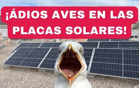 Rejilla antiaves, Protección contra pájaros, Dispositivos disuasorios para aves, Redes antiaves, Soluciones para evitar daños por aves, Seguridad para paneles solares, Prevención de anidación de aves, Barreras físicas contra aves, Sistemas de protección de placas solares, Instalación de protección para paneles solares, Instalación de protección para placas solares, Instalación de protección para módulos solares, Instalación de protección para instalaciones solares. Limpieza de paneles solares, Mantenimiento de sistemas solares, Servicios de limpieza solar, Programas de mantenimiento fotovoltaico,Inspección de instalaciones solares, Limpieza y mantenimiento de plantas solares, Procedimientos de limpieza para paneles solares, Programas de mantenimiento preventivo solar, Herramientas y equipos para limpieza solar, Gestión de residuos en la limpieza de instalaciones solares, Bird blocker,  Bloqueador de aves, Rejilla antipájaros, Red antipájaros, Púas antipalomas, Barrera antiaves, Ahuyentador de aves, Rejilla antipájaros:, Rejilla antipájaros para placas solares, Malla antipájaros para tejados, Red antipájaros para árboles frutales, Rejilla metálica antipájaros, Malla de plástico antipájaros, Barrera exclusión palomas, Barrera antipalomas para balcones, Red antipalomas para ventanas, Púas antipalomas para techos, Gel antipalomas, Sistema de exclusión de palomas, Protección antiaves en placas solares:, Protección antiaves para paneles solares, Mallas de protección para placas solares, Peines BirdBlocker, Sistemas antiaves para energías renovables, Barreras antiaves para instalaciones fotovoltaicas, Palabras clave adicionales:, Control de aves, Eliminación de aves, Prevención de daños por aves, Soluciones antiaves, Productos antiaves, Ejemplo de frase de búsqueda:, Comprar rejilla antipájaros para placas solares en Madrid, Bloqueador de aves:, ¿Cómo eliminar las aves de mi casa/jardín?, ¿Qué es un bloqueador de aves?, ¿Dónde comprar un bloqueador de aves?, ¿Tipos de bloqueadores de aves?, ¿Cómo instalar un bloqueador de aves?, ¿Los bloqueadores de aves son dañinos para las aves?, Mejores bloqueadores de aves del mercado, Bloqueadores de aves para balcones, Bloqueadores de aves para techos, Bloqueadores de aves para árboles, Rejilla antipájaros:, ¿Para qué sirve una rejilla antipájaros?, ¿Dónde comprar una rejilla antipájaros?, ¿Cómo instalar una rejilla antipájaros?, Tipos de rejillas antipájaros, Precio de rejillas antipájaros, Rejillas antipájaros para chimeneas, Rejillas antipájaros para tejados, Rejillas antipájaros para árboles frutales, Rejillas antipájaros para huertos, Barrera de exclusión para palomas:, ¿Cómo eliminar las palomas de mi casa/edificio?, ¿Qué es una barrera de exclusión para palomas?, ¿Dónde comprar una barrera de exclusión para palomas?, ¿Cómo instalar una barrera de exclusión para palomas?, Tipos de barreras de exclusión para palomas, Precio de las barreras de exclusión para palomas, Barreras de exclusión para palomas en edificios, Barreras de exclusión para palomas en balcones, Barreras de exclusión para palomas en ventanas, Protección antiaves en placas solares:, ¿Cómo proteger las placas solares de las aves?, ¿Qué es la protección antiaves para placas solares?, ¿Dónde comprar protección antiaves para placas solares?, ¿Cómo instalar protección antiaves para placas solares?, Tipos de protección antiaves para placas solares, Precio de la protección antiaves para placas solares, Mejores sistemas de protección antiaves para placas solares, Mantenimiento de la protección antiaves para placas solares, Protección antiaves en energías renovables:, ¿Cómo proteger las instalaciones de energías renovables de las aves?, ¿Qué tipos de protección antiaves hay para energías renovables?, ¿Dónde comprar protección antiaves para energías renovables?, ¿Cómo instalar protección antiaves para energías renovables?, Precio de la protección antiaves para energías renovables, Mantenimiento de la protección antiaves para energías renovables, Legislación sobre protección antiaves en energías renovables, Otras frases:, Eliminar excrementos de aves, Ahuyentar aves, Control de plagas de aves, Productos antiplagas para aves, Empresas de control de aves, , LOCALIDADES, Boadilla del Monte, Villanueva de La Cañada, Brunete, Villaviciosa de Odón, Navalcarnero, Villanueva del Pardillo, Torrelodones, Majadahonda, Las Rozas de Madrid, Pozuelo de Alarcón, Galapagar, Colmenarejo, Las Matas, Quijorna, Sevilla la Nueva, Villanueva de Perales, Villamantilla, Villamanta, Aldea Del Fresno, San Lorenzo del Escorial, El Escorial, Valdemorillo, Móstoles, Arroyomolinos, Alcorcón, Villafranca del Castillo, La finca, La Moraleja, Aravaca, ENERGÍA SOLAR FOTOVOLTAICA, Energía solar fotovoltaica, Placas solares, Paneles solares, Módulos solares, Instalación de placas solares, Precio de placas solares, Beneficios de la energía solar, Mantenimiento de placas solares, Subvenciones para energía solar, Componentes de un sistema solar fotovoltaico, Eficiencia de las placas solares, Tipos de placas solares, Marcas de placas solares, Cómo funciona la energía solar, Autoconsumo energético, Huella de carbono de la energía solar, Para empresas:, Energía solar para empresas, Soluciones fotovoltaicas para empresas, Autoconsumo industrial, Financiación de proyectos fotovoltaicos, Empresas instaladoras de placas solares, Ayudas y subvenciones para empresas, Casos de éxito de empresas con energía solar, Amortización de una instalación fotovoltaica, Para particulares:, Energía solar para casas, Autoconsumo fotovoltaico en viviendas, Ahorro energético con placas solares, Baterías para almacenamiento de energía solar, Subvenciones para particulares, Cómo elegir una empresa instaladora, Mantenimiento de placas solares en casas, Opiniones sobre placas solares, Rentabilidad de una instalación solar en una vivienda, Tendencias:, Innovaciones en energía solar, Futuro de la energía solar, Energía solar y almacenamiento, Inteligencia artificial en energía solar, Microgeneración distribuida, Impacto ambiental de la energía solar, Palabras clave adicionales:, Fotovoltaica, Energía renovable, Energía limpia, Sostenibilidad, Medio ambiente, Eficiencia energética, Cambio climático, Instalación de placas solares:, ¿Cómo instalar placas solares?, ¿Qué necesito para instalar placas solares?, ¿Cuánto cuesta instalar placas solares?, ¿Qué permisos necesito para instalar placas solares?, ¿Cuánto tiempo se tarda en instalar placas solares?, ¿Qué empresas instalan placas solares?, ¿Cómo elegir una empresa instaladora de placas solares?, ¿Qué garantías ofrece una instalación de placas solares?, ¿Qué mantenimiento necesitan las placas solares?, Presupuesto para energía solar fotovoltaica:, ¿Cómo obtener un presupuesto para energía solar fotovoltaica?, ¿Qué factores influyen en el precio de una instalación de placas solares?, ¿Qué opciones de financiación hay para instalar placas solares?, ¿Cómo comparar presupuestos de diferentes empresas instaladoras?, ¿Qué subvenciones hay disponibles para instalar placas solares?, ¿Cómo calcular el ahorro que puedo obtener con placas solares?, ¿En qué plazo se amortiza una instalación de placas solares?, Energía solar fotovoltaica:, ¿Qué es la energía solar fotovoltaica?, ¿Cómo funciona la energía solar fotovoltaica?, ¿Cuáles son los beneficios de la energía solar fotovoltaica?, ¿Cuáles son los inconvenientes de la energía solar fotovoltaica?, ¿Qué tipos de placas solares hay?, ¿Cuál es la mejor placa solar para mi casa o empresa?, ¿Qué legislación hay sobre la energía solar fotovoltaica?, ¿Cuál es el futuro de la energía solar fotovoltaica?, Otras preguntas frecuentes:, ¿Es rentable instalar placas solares?, ¿Qué tamaño de instalación de placas solares necesito?, ¿Puedo instalar placas solares en mi casa o empresa?, ¿Qué orientación deben tener las placas solares?, ¿Qué inclinación deben tener las placas solares?, ¿Qué mantenimiento necesitan las placas solares?, ¿Qué puedo hacer si tengo problemas con mi instalación de placas solares?, Boadilla del Monte, Villanueva de La Cañada, Brunete, Villaviciosa de Odón, Navalcarnero, Villanueva del Pardillo, Torrelodones, Majadahonda, Las Rozas de Madrid, Pozuelo de Alarcón, Galapagar, Colmenarejo, Las Matas, Quijorna, Sevilla la Nueva, Villanueva de Perales, Villamantilla, Villamanta, Aldea Del Fresno, San Lorenzo del Escorial, El Escorial, Valdemorillo, Móstoles, Arroyomolinos, Alcorcón,  Villafranca del Castillo, La finca, La Moraleja, Aravaca, aerotermia madrid, aerotermia en madrid, ayudas aerotermia madrid, aerotermia comunidad de madrid, reparación de calderas boadilla del monte, instalador módulos solares en villaviciosa de odón, ANTIAVES, MERIDIONAL RENOVABLES: 616283686 EMPRESA INSTALADORA y MANTENEDORA , Proporcionamos a nuestros clientes soluciones y mejoras para protección y mantenimientos de su instalación solar. Sus placas solares en perfecto estado y máximo rendimiento. Rejilla antiaves, Protección contra pájaros, Dispositivos disuasorios para aves, Redes antiaves, Soluciones para evitar daños por aves, Seguridad para paneles solares, Prevención de anidación de aves, Barreras físicas contra aves, Sistemas de protección de placas solares, Instalación de protección para paneles solares, Instalación de protección para placas solares, Instalación de protección para módulos solares, Instalación de protección para instalaciones solares. Limpieza de paneles solares, Mantenimiento de sistemas solares, Servicios de limpieza solar, Programas de mantenimiento fotovoltaico, Inspección de instalaciones solares, Limpieza y mantenimiento de plantas solares, Procedimientos de limpieza para paneles solares, Programas de mantenimiento preventivo solar, ANTI AVES, Protección anti aves para energía solar, Soluciones anti pájaros para placas solares, Barreras contra aves en instalaciones solares, Dispositivos disuasorios de aves para paneles solares, Prevención de daños por aves en módulos solares, Protección aviar para sistemas fotovoltaicos, Redes anti aves para instalaciones de energía solar, Métodos para evitar anidación de aves en paneles solares, Seguridad aviar en plantas solares, Herramientas para proteger paneles solares de aves. Rejilla antiaves, Protección contra pájaros, Dispositivos disuasorios para aves, Redes antiaves, Soluciones para evitar daños por aves, Seguridad para paneles solares, Prevención de anidación de aves, Barreras físicas contra aves, Sistemas de protección de placas solares, Instalación de protección para paneles solares, Instalación de protección para placas solares, Instalación de protección para módulos solares, Instalación de protección para instalaciones solares. Paneles solares fotovoltaicos, Palabras clave para búsqueda de soluciones contra nidos de aves en placas solares:, Rejillas anti aves:, Rejillas anti pájaros para placas solares, Mallas de protección para placas solares, Peines de alero para paneles solares, BirdBlocker, Gel AviFin, Pinchos antipalomas, Nidos:, Cómo evitar que las palomas aniden en placas solares, Eliminar nidos de palomas en placas solares, Proteger paneles solares de palomas, Ahuyentar palomas de placas solares, Tejado:, Protección contra aves en tejados, Control de aves en tejados con placas solares, Cómo evitar que las aves aniden en el tejado, Soluciones para nidos de palomas en tejados, Daños:, Daños en placas solares por palomas, Excrementos de palomas en placas solares, Corrosión de paneles solares por palomas, Mantenimiento de placas solares por excrementos de aves, Preguntas usuales para búsqueda de soluciones:, ¿Qué tipo de rejilla anti aves es la mejor para placas solares?, ¿Cómo instalar una rejilla anti aves en placas solares?, ¿Dónde puedo comprar mallas de protección para placas solares?, ¿Qué métodos existen para eliminar nidos de palomas en placas solares?, ¿Cómo puedo evitar que las palomas dañen mis paneles solares?, ¿Existen ahuyentadores de palomas efectivos para placas solares?, ¿Qué debo hacer si encuentro un nido de palomas en mi tejado?, ¿Cómo puedo limpiar los excrementos de palomas de mis placas solares?, ¿Qué medidas puedo tomar para evitar que las aves aniden en mi tejado?, Recursos adicionales:, Control de Aves en Paneles Solares y Fotovoltaicos, , Energía solar limpia, Sistemas fotovoltaicos residenciales, Instalación de energía solar, Beneficios de la energía solar fotovoltaica, Tecnología fotovoltaica, Eficiencia energética solar, Costos de instalación de energía solar, Impacto ambiental de la energía solar fotovoltaica, Subsidios y incentivos para la energía solar. rejillas anti aves para placas solares":, Redes anti pájaros para paneles solares, Mallas protectoras para instalaciones fotovoltaicas, Barreras físicas contra aves para sistemas solares, Dispositivos de exclusión de aves para placas solares, Sistemas de prevención de nidos de aves en paneles fotovoltaicos, Formas alternativas de decir "nidos":, Moradas de aves, Habitáculos de palomas, Construcciones para la incubación, Estructuras para la cría, Refugios para aves, Formas alternativas de decir "tejado":, Cubierta de la casa, Techumbre, Azotea, Superficie superior del edificio, Techo, Formas alternativas de decir "daños", Deterioro, Perjuicio, Deterioro, Avería, Desgaste, Formas alternativas de decir "excrementos":, Deposiciones, Heces, Estiércol, Guano, Desechos, Ejemplos de preguntas usando las palabras alternativas:, ¿Qué tipo de redes anti pájaros son más efectivas para proteger mis paneles solares?, ¿Cómo puedo instalar una barrera física contra aves en mi sistema solar sin dañar la instalación?, ¿Dónde puedo comprar mallas protectoras para evitar que las palomas construyan moradas en mis placas fotovoltaicas?, ¿Qué métodos existen para eliminar de forma segura los nidos de palomas de mi techo?, ¿Cómo puedo evitar que las aves causen deterioro a mi tejado y a mis paneles solares?, ¿Existen ahuyentadores de aves que sean realmente eficientes para proteger las instalaciones fotovoltaicas?, ¿Qué debo hacer si encuentro una morada de palomas en la cubierta de mi casa?, ¿Cómo puedo limpiar las deposiciones de palomas de mis paneles solares sin dañarlos?, ¿Qué medidas puedo tomar para prevenir que las aves construyan refugios en mi azotea?, , FINCA AISLADA, Energía solar: Instalación de paneles solares para generar electricidad a partir de la luz solar., Generador diésel: Uso de un generador diésel como fuente de energía auxiliar en caso de baja producción solar., Aerogeneradores: Implementación de turbinas eólicas para aprovechar la energía del viento y generar electricidad., Baterías: Almacenamiento de energía mediante baterías para utilizarla cuando no haya disponibilidad de energía solar o eólica., Inversores: Dispositivos que convierten la corriente continua generada por paneles solares o turbinas eólicas en corriente alterna utilizable en los dispositivos eléctricos., Eficiencia energética: Adoptar medidas para reducir el consumo de energía, como el uso de electrodomésticos de bajo consumo y sistemas de iluminación eficientes., Energía hidráulica: Si hay un curso de agua cercano, se puede considerar la instalación de un pequeño sistema hidroeléctrico para generar electricidad., Energía geotérmica: Explorar la posibilidad de aprovechar el calor del subsuelo para generar electricidad mediante sistemas geotérmicos., Energía de biomasa: Utilizar biomasa como residuos agrícolas o forestales para generar electricidad mediante la combustión controlada., Energía cinética: Emplear dispositivos como sistemas de captura de movimiento o pequeñas turbinas en corrientes de agua para generar electricidad a partir del movimiento.Electricista cerca de mí, electricistas, reparación eléctrica, presupuesto electricista, electricista autorizado, reparación eléctrica, instalación eléctrica, electricista urgente, apagón eléctrico, cuadro eléctrico, instalar enchufe, boletines eléctricos, reparar cortocircuito, boletines eléctricos, mantenimiento eléctrico, electricidad Boadilla, electroboadilla, electro Boadilla, masqenergía, más que energía, electricidad sanchez ruiz, servieléctrici, electricista para comunidad de vecinos, electricista,iluminación led, electricista abierto ahora, electricista a domicilio, electricista en Madrid, iluminación solar, iluminación de jardín,  empresas de electricidad, electricista residencial,interruptores de luz que no funcionan, enchufes que no funcionan, disyuntor que no funciona, avería de fusibles, los fusibles saltan, cómo cambiar un interruptor de luz, cómo instalar un enchufe, avería eléctrica en Villanueva de la Cañada, Electricistas, electricistas en Boadilla del Monte,avería eléctrica en Boadilla del Monte, Boletín eléctrico en Boadilla del Monte, Cambio de potencia eléctrica en tarifa, cambio de cuadro eléctrico, acometida eléctrica, acometida hidráulica, instalación industrial, empresa autorizada para instalaciones eléctricas, Certificado eléctrico, memoria eléctrica, instalador eléctrico en Villanueva de la Cañada, electricista en Villanueva de la Cañada, electricistas en Villanueva de la Cañada, Electricidad en Boadilla del Monte, electricidad en Villanueva de la Cañada, presupuesto cambio de instalación eléctrica en Boadilla del Monte, electricista instalación eléctrica en Villaviciosa de Odón, electricista económico en Boadilla del Monte, Empresa instaladora autorizada para trabajos eléctricos, diseño de iluminación led, diseño de iluminación solar, Instalación eléctrica en Boadilla del Monte, instalador eléctrico en Boadilla del Monte, Diseño actual iluminación de jardín, iluminación exterior para jardín,Electricista cerca de mí,reparación eléctrica,instalación eléctrica,factura de la luz,ahorrar energía,instalación de cableado,enchufes,interruptores, componentes eléctricos, paneles solares,bombillas led,seguridad eléctrica,tomacorrientes,tipos de electricidad,como funciona la electricidad,problemas eléctricos más comunes, consejos para ahorrar energía en el hogar, subvenciones para energía solar,código eléctrico,inspecciones eléctricas,electricistas comerciales, electricistas industriales, Villanueva de la Cañada, Las Rozas de Madrid, Brunete, Valdemorillo, Villaviciosa de Odón, Navalcarnero, Sevilla la nueva, Chapinería, Arroyomolinos, Colmenar del Arroyo, Villamantilla, Villanueva de Perales, Pozuelo de Alarcón, Electricista en La Finca, Electricistas en Pozuelo de Alarcón, Instalador electricista en Pozuelo de Alarcón, Instalación eléctrica en Pozuelo de Alarcón, Galapagar, Colmenarejo, Torrelodones, San Lorenzo del Escorial, El Escorial, Valdemorillo, Villanueva de la Cañada, Villanueva del Pardillo, Electricista en Villanueva de la Cañada, Electricista en Villanueva de Perales, Electricista en Guadamonte, Electricista en La Raya del Palancar, Electricista en Las Lomas, Electricista en El Bosque, Electricista en Majadahonda, Empresa de electricidad en Majadahonda, Empresa de electricidad en Villaviciosa,avería eléctrica urgencias, reparación eléctrica en Boadilla del Monte, Reparación eléctrica en Villanueva de la Cañada, Reparación electricidad en Villanueva de La Cañada, reparlux,electricistas Madrid 365,electricidad Palacios y Raigal, Campeador soluciones eléctricas, electricistas mejor valorados cerca de mí,energía solar térmica, panales solares térmicos, placas solares térmicas, módulos solares térmicos, energía solar térmica industrial, tubos de vacío energía solar térmica, circuito solar térmica, líquido caloportador energía solar térmica, energía solar térmica Boadilla del Monte, energía solar térmica Villanueva de la Cañada, energía eólica, energía en finca aislada, electricidad en finca aislada sin luz, dar luz en finca aislada con energías renovables, aerogeneradores, aerogenerados eólico, molinos de viento, instalación energía eólica, instalador de aerogenerador, instalación aerogenerador, instalación de molino de viento,instalación aerotermia, instalación bomba de calor, instalador de aerotermia en Boadilla del Monte, Instalación de aerotermia en Villanueva de la Cañada, instalación de aerotermia en Pozuelo de Alarcón, Instalación de aerotermia en La Finca, Instalador de aerotermia homologado, empresa delegada mandataria, ibi Las Rozas de Madrid, IBI Pozuelo de Alarcón, IBI Villaviciosa de Odón, IBi Villanueva de la Cañada, IBI Torrelodones, IBI Majadahonda, IBI Arroyomolinos, IBI San Lorenzo del Escorial, Instalador de enchufe para coche eléctrico, aerotermia con suelo radiante. aerotermia suelo refrescante, aerotermia hibridada con caldera de gas, aerotermia con fancoils, aerotermia con radiadores, aerotermia bomba de calor Saunier Duval, aerotermia bomba de calor Wolf, aerotermia bomba de calor Ecoforest,estufa de biomasa, estufa de pellets, instalador estufa de pellets, instalador estufa de pellets para chalet, subvención para instalación de estufa de pellets, empresa instaladora de estufas de pellets, caldera de pellets, mantenimiento estufa de pellets, avería estufa de biomasa pellets,ayudas para instalación de estufa de pellets,climatización, instalación de fancoils, climatización de zonas de exterior, instalador de aire acondicionado en Boadilla del Monte, Instalación de aire acondicionado, empresa instaladora de aire acondicionado en Boadilla del Monte, empresa instaladora de aire acondicionado en Villanueva de la Cañada, empresa instaladora de aire acondicionado en Pozuelo de Alarcón, empresa instaladora autorizada de aire acondicionado en Las Rozas de Madrid, empresa instaladora de aire acondicionado en Galapagar.